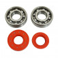 BEARING FOR CRANKSHAFT+SEALS FOR SCOOT P2R FOR MBK 50 BOOSTER, NITRO/YAMAHA 50 BWS, AEROX/APRILIA 50 SR/CPI 50 ARAGON/GENERIC 50 IDEO/KEEWAY 50 FOCUS (KIT 6204 SKF STEEL C4/RED RACING SEAL) 3701213410385