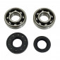 BEARING FOR CRANKSHAFT+SEALS FOR SCOOT P2R RACING FOR MBK 50 BOOSTER, NITRO/YAMAHA 50 BWS, AEROX/APRILIA 50 SR/CPI 50 ARAGON/GENERIC 50 IDEO/KEEWAY 50 FOCUS (KIT 6204 FAG POLYAMID C4 + NITRIL SEAL) 3701213409471