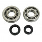 BEARING FOR CRANKSHAFT+SEALS FOR SCOOT P2R FOR PEUGEOT 50 SPEEDFIGHT 2, TKR, TREKKER (WITH DELL'ORTO PUMP)(KIT TPI SC04A47CS + 6204 STEEL C4/NITRILE SEAL) 3701213422883