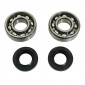 BEARING FOR CRANKSHAFT+SEALS FOR 50CC MOTORBIKE P2R FOR DERBI 50 SENDA, GPR/GILERA 50 SMT, RCR (ENGINE EURO 2 + EURO 3) (KIT 6204 FAG STEEL C3/NITRILE SEAL) 3701213406098
