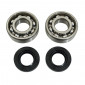 BEARING FOR CRANKSHAFT+SEALS FOR 50CC MOTORBIKE P2R FOR DERBI 50 SENDA, GPR/GILERA 50 SMT, RCR (ENGINE EURO 2 + EURO 3) (KIT 6204 SKF STEEL C4/NITRILE SEAL) 3701213410453