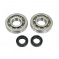ROULEMENT D'EMBIELLAGE + JOINT CYCLO P2R ADAPTABLE PEUGEOT 50 FOX (KIT SC04A47CS TPI POLYAMIDE/JOINT SPI NITRILE) 3701213422760