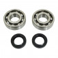 BEARING FOR CRANKSHAFT+SEALS FOR SCOOT P2R FOR PEUGEOT 50 LUDIX, SPEEDFIGHT 3, JET FORCE, KISBEE/DJANGO 2STROKE (KIT 6204 TPI STEEL C4/NITRILE SEAL) 3701213422937