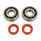BEARING FOR CRANKSHAFT+SEALS FOR SCOOT P2R FOR PEUGEOT 50 LUDIX, SPEEDFIGHT 3, JET FORCE, KISBEE/DJANGO 2STROKE (KIT 6204 TPI POLYAMID C4/RED RACING SEAL) 3701213422784