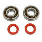 BEARING FOR CRANKSHAFT+SEALS FOR SCOOT P2R FOR PEUGEOT 50 LUDIX, SPEEDFIGHT 3, JET FORCE, KISBEE/DJANGO 2STROKE (KIT 6204 SKF POLYAMID C4/RED RACING SEAL) 3701213422791