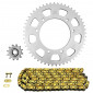 KIT CHAINE ADAPTABLE GAS GAS 50 ROOKIE SM 2001>2005 420 12x52 (DIAM COURONNE 105/125/8.5) (DEMULTIPLICATION ORIGINE) -AFAM- 5400598053450