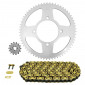 CHAIN AND SPROCKET KIT FOR BETA 125 RR LC 2010>2020 428 14x63 (Ø SPROCKET 100/120/8.5/16) (OEM SPECIFICATIONS) -AFAM- 5400598043307
