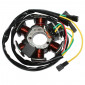 STATOR ALLUMAGE 50 A BOITE ADAPTABLE MINARELLI 50 AM6/DERBI 50 SENDA, GPR (6 POLES SANS PLATINE) -SELECTION P2R- 3700948178737