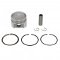 PISTON FOR SCOOT PEUGEOT 50cc 4 Stroke powered: TWEET , VIVACITY , SPEEDFIGHT 3 /SYM 50 MIO, ORBIT (Ø 37) -SELECTION P2R-