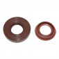 OIL SEAL FOR CRANKSHAFT FOR SCOOT VITON ADAPTABLE MBK 50 BOOSTER, NITRO, MACH G, STUNT/YAMAHA 50 BWS, AEROX, , JOG R, SLIDER/APRILIA 50 SR/MALAGUTI 50 F12 (SOLD PER 2 IN A PLASTIC BOX) -SELECTION P2R- 3700948021538