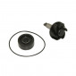 REPAIR KIT FOR WATER PUMP FOR MAXISCOOTER YAMAHA 125 MAJESTY/MBK 125 SKYLINER - SELECTION P2R - 3700948114704