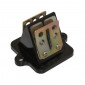 CLAPET SCOOT ADAPTABLE PEUGEOT 50 LUDIX BLASTER, JET FORCE, SPEEDFIGHT 3, KISBEE, DJANGO 2T -P2R- 3700948067437