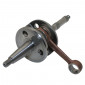 EMBIELLAGE/VILEBREQUIN SCOOT ADAPTABLE PIAGGIO 50 ZIP 2T, TYPHOON, NRG, LIBERTY/GILERA 50 STALKER, RUNNER, DNA, ICE -P2R- 3700948021088