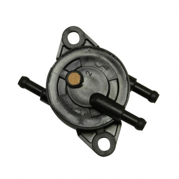 POMPE A ESSENCE MAXISCOOTER ADAPTABLE PIAGGIO 50 NRG POWER DD 2005>2008, NRG PUREJET 2004>2008, 125 MP3 2007>2008, 125 X8 2005>2006, X9/GILERA 50 RUNNER PUREJET 2005>2007, DNA 2000>2002 -P2R- 3700948079515