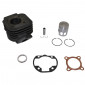 CYLINDER FOR SCOOT MBK 50 NITRO, MACH G/YAMAHA 50 AEROX, JOG R/MALAGUTI 50 F12, F15 L.C./APRILIA 50 SR L.C. -P2R CAST IRON + GRAPHITE PISTON- 3700948142967