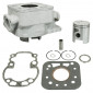 CYLINDER FOR 50cc MOTORBIKE SUZUKI 50 RMX 2000>/SMX 2000> -ALU NIKASIL AIRSAL- 8434829001825