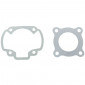 GASKET SET FOR CYLINDER KIT FOR SCOOT DR FOR PEUGEOT 50 TKR, TREKKER, SPEEDFIGHT AIR, VIVACITY, BUXY, SQUAB, ZENITH, ELYSEO - 3700948161760