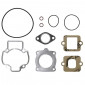 COMPLETE GASKET SET - FOR SCOOT PIAGGIO 50 ZIP 2STROKE, TYPHOON, LIBERTY 2STROKE, FLY 2STROKE, VESPA LX 2STROKE/GILERA 50 STALKER, ICE/DERBI 50 ATLANTIS, PREDATOR/APRILIA 50 SR MOTARD -ARTEIN- 8434579002486