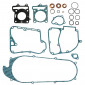 COMPLETE GASKET SET - FOR MAXISCOOTER KYMCO 125 DINK, BET&WIN 2000>2004 - -ARTEIN-