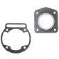 GASKET SET FOR CYLINDER KIT FOR RIEJU 50 MX 2001> ( MORINI ENGINE) - -ARTEIN-