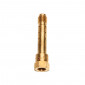 DIFFUSEUR DELLORTO POUR CARBU PHBG AN 262 3700948128633