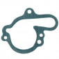GASKET FOR WATER PUMP FOR MINARELLI 50 AM6/MBK 50 X-POWER/YAMAHA 50 TZR/PEUGEOT 50 XPS/RIEJU 50 RS1/APRILIA 50 RS (SOLD PER UNIT) -ARTEIN- 8434579043779