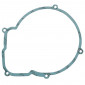 GASKET FOR IGNITION COVER FOR MINARELLI 50 AM6/MBK 50 X-POWER, X-LIMIT/YAMAHA 50 TZR, DTR/PEUGEOT 50 XPS, XR6/RIEJU 50 RS1, SMX/BETA 50 RR/APRILIA 50 RS (SOL PER UNIT) -SELECTION P2R 8434579020534