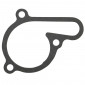 GASKET FOR WATER PUMP FOR DERBI 50 SENDA 2006>, GPR 2006>/GILERA 50 SMT 2006>, RCR 2006> ( PIAGGIO EURO 3) (SOLD PER UNIT) -SELECTION P2R- 8434579048804