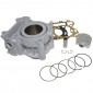 CYLINDER FOR MAXISCOOTER YAMAHA 125 XMAX 2008>, XCITY 2008>, YZF R, WRC / MBK 125 SKYCRUISER 2008>, CITY LINER 2008> / RIEJU 125 MARATHON (Ø 52,4) -AIRSAL ALU- 8434829001931