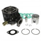 CYLINDER FOR SCOOT SUZUKI 50 KATANA LIQUID COOLING/APRILIA 50 SR 2002>2004 L.C. -CAST IRON P2R PREMIUM- 3700948020852
