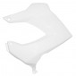 LEFT SIDE COVER FOR TANK FOR 50cc MOTORBIKE DERBI 50 SENDA 1994>2010 GLOSS WHITE- SELECTION P2R