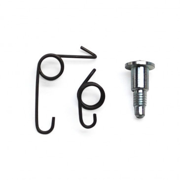RESSORT ET VIS DE STARTER POUR CARBU DELLORTO SHA 3700948130230