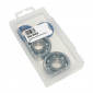 ROULEMENT D'EMBIELLAGE + JOINT 50 A BOITE POLINI ADAPTABLE MINARELLI 50 AM6/MBK 50 X-POWER/YAMAHA 50 TZR/PEUGEOT 50 XPS, XR6/RIEJU 50 RS1, SMX/BETA 50 RR (KIT 282.0003) 8054705085284