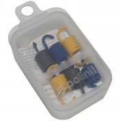 SPRING FOR CLUTCH FOR SCOOT POLINI FOR GENUINE CLUTCH FOR MBK 50 BOOSTER/YAMAHA 50 BWS (+20%/+35%/+50%) (245.010) 8054705080029