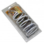 SPRING FOR VARIATOR MALOSSI MAXISCOOTER FOR GENUINE CLUTCH (OR MULTIVAR) FOR PIAGGIO 400-500 MP3, 500 X9 EVOLUTION/PEUGEOT 500 SATELIS/APRILIA 500 ATLANTIC/GILERA 500 NEXUS (2913003.W0) 3700948135297