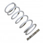 RESSORT VARIATEUR MAXISCOOTER MALOSSI POUR ORIGINE GILERA 800 GP/APRILIA 850 SRV (2914121.W0) (+ MONTAGE POUR MULTIVAR) 3700948135310