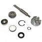 REPAIR KIT FOR WATER PUMP FOR MAXISCOOTER HONDA 125 SH, 125 PANTHEON, 125 DYLAN - -BUZZETTI-