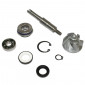 KIT REPARATION POMPE A EAU MAXISCOOTER ADAPTABLE HONDA 125 SH, 125 PANTHEON, 125 DYLAN (KIT) -BUZZETTI-