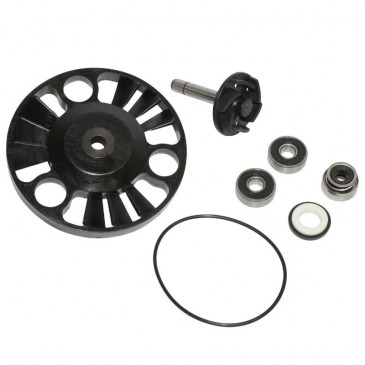 KIT REPARATION POMPE A EAU MAXISCOOTER ADAPTABLE PIAGGIO 125 X8,125 X9, 125 BEVERLY, 1VESPA GTS/GILERA 125 NEXUS, 125 RUNNER/APRILIA 125 ATLANTIC (ROULEMENTS DIAMETRE 22) (KIT) -BUZZETTI-