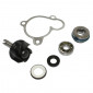 REPAIR KIT FOR WATER PUMP FOR MAXISCOOTER YAMAHA 250 MAJESTY/MBK 250 SKYLINER - -BUZZETTI-