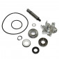 KIT REPARATION POMPE A EAU MAXISCOOTER ADAPTABLE YAMAHA 500 TMAX 2001>2011 (KIT) -BUZZETTI- 3700948281604