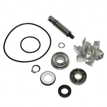 KIT REPARATION POMPE A EAU MAXISCOOTER ADAPTABLE YAMAHA 500 TMAX 2001>2011 (KIT) -BUZZETTI- 3700948281604