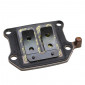 CLAPET SCOOT MALOSSI POUR MBK 50 BOOSTER, STUNT/YAMAHA 50 BWS, SLIDER (VL10 CARBONE SUPPORT ALU) 3700948131923