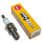 SPARK PLUG NGK BR9ECM (3252)