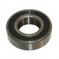 WHEEL BEARING 6003-2RS (17x35x10) FDM (SOLD PER UNIT)