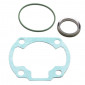 JOINT HAUT MOTEUR SCOOT MALOSSI FONTE POUR MBK 50 OVETTO 2T, MACH G/YAMAHA 50 NEOS 2T, JOG/APRILIA 50 SR/MALAGUTI 50 F10 (POCHETTE) 3700948132456