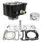CYLINDER FOR MAXISCOOTER YAMAHA 125 MAJESTY/MBK 125 SKYLINER (Ø 53,7mm/CAST IRON) -SELECTION P2R- 3700948020470