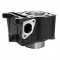 CYLINDER FOR MAXISCOOTER YAMAHA 125 MAJESTY/MBK 125 SKYLINER (Ø 53,7mm/CAST IRON) -SELECTION P2R- 3700948020470
