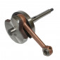 CRANKSHAFT FOR MOPED FOR PIAGGIO 50 CIAO PX (PIN Ø 10) 3700948167489