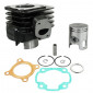 CYLINDRE SCOOT ADAPTABLE MBK 50 OVETTO 2T, MACH G/YAMAHA 50 NEOS 2T, JOG/APRILIA 50 SR/MALAGUTI 50 F10 -P2R FONTE PREMIUM- 3700948020647